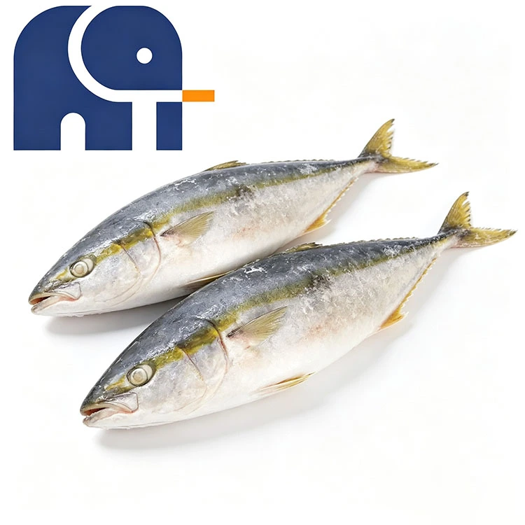 المجمدة Yellowtail جولة كاملة