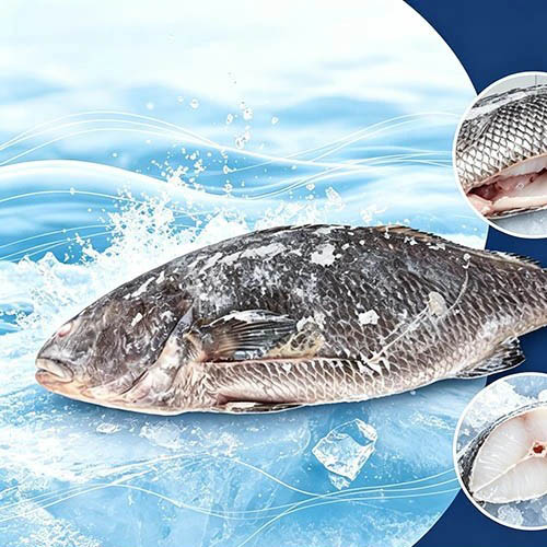 التهمت التهمت التهمت براون كروكر المجمدة المغذية