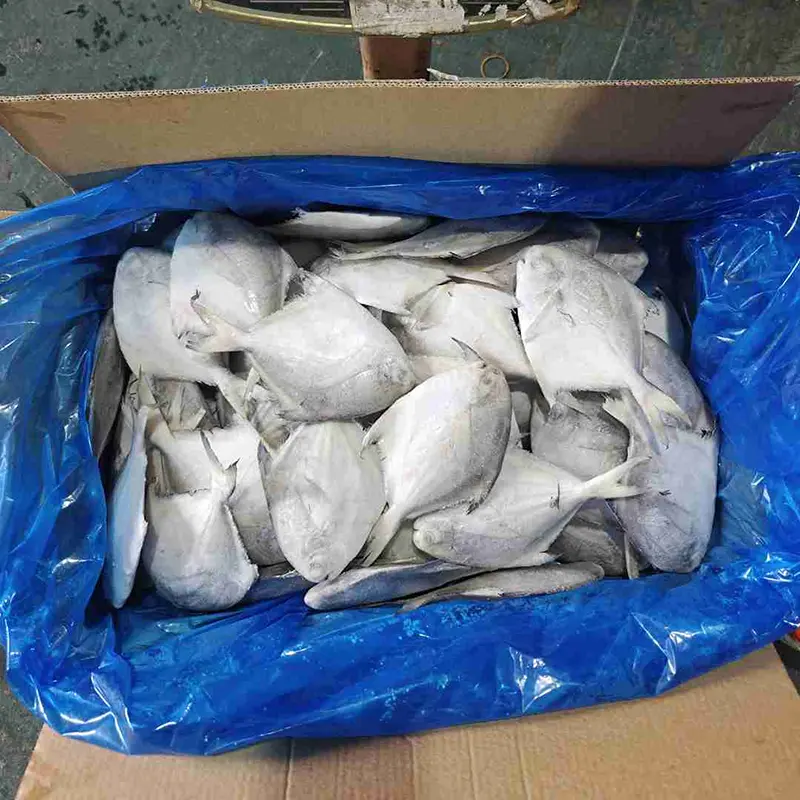 كرتونة بيضاء ممتازة بومفريت مستديرة بالكامل